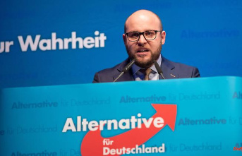 Baden-Württemberg: graffiti on the house of AfD MPs Frohnmaier