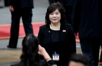 First woman in post: nuclear negotiator becomes North Korean foreign minister