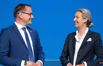 Party determines new board: Chrupalla and Weidel elected AfD federal chairmen