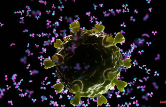 Will B cells defeat the HI virus?: "A big step forward" in the fight against AIDS