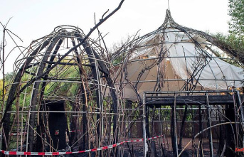 Mecklenburg-Western Pomerania: Burnt willow cathedral to be rebuilt