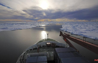 Shorter shipping routes: Ice-free Arctic could help with climate protection