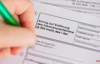 Saxony-Anhalt: fewer private bankruptcies in the quarter in Saxony-Anhalt