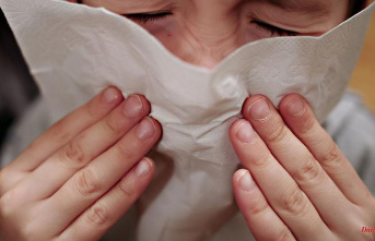 Thuringia: Flu cases in Thuringia remain at a low level