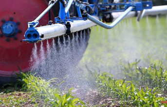 Bayer has to pay millions: US court rejects review of glyphosate verdict