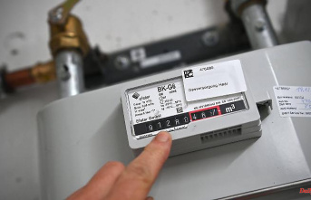 "Save as much gas as possible": Netzagentur wants to lower heating requirements for landlords