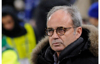 Ligue 1. Who's the new PSG sports advisor, Luis Campos?