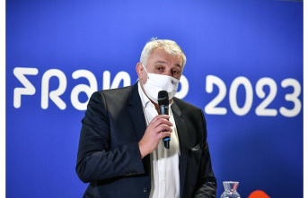 Rugby. France-2023: The Ministry of Sports seizes labor inspectorate