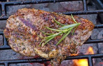From charcoal to meat: this is how the barbecue evening becomes sustainable