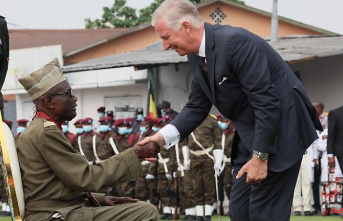 Colonial Era Crimes: Belgian King Deplores Congo Exploitation