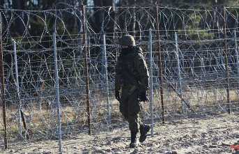 Securing the border with Belarus: Poland is building a 140-kilometer fence