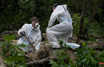 Ukraine: War. Live: Seven bodies found in a new grave near Boutcha