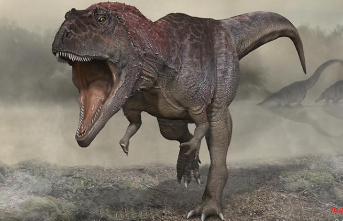 New discovery in Patagonia: Huge dinosaur had stub sleeves