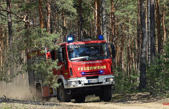North Rhine-Westphalia: forest fire: area of ​​​​four football fields burns