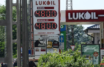 Petrol stations limit sales: price caps make petrol scarce in Hungary