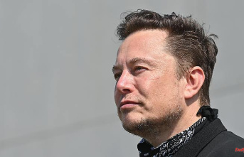 Relaxation in sight?: Musk predicts the end of inflation