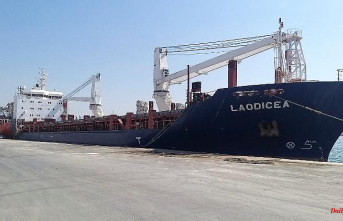 Ukraine: "Illegal" cargo: Lebanon confiscates ship with grain