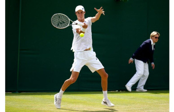 Tennis. Wimbledon: Gabriel Debru, the nugget, bows in the final of doubles