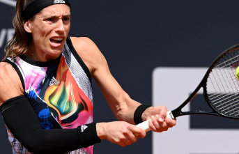 Bitter tournament end for Andrea Petkovic
