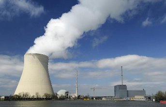 Resistance too weak: EU Parliament approves green label for gas and nuclear power