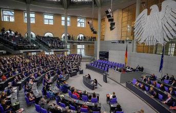 Planned electoral law reform: Ampel wants 138 fewer MPs in the Bundestag