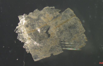 "Repository of Garbage": Microplastics pollute the deep sea more than expected