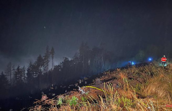 North Rhine-Westphalia: forest fire on a steep slope near Iserlohn: extinguishing work continues