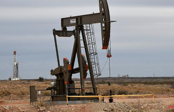 Increased world market prices: Exxon and Chevron are making profits