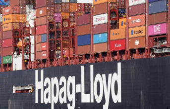Hapag-Lloyd – the company that is making more and more money during the crisis