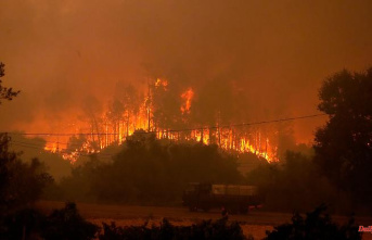 Cause of forest fires: More than 50 arrests for arson in Portugal