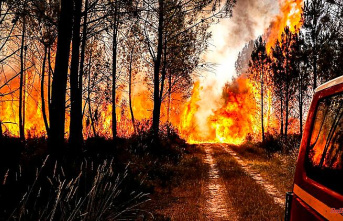 Europe in the fight against fire: Forest fires in Portugal destroy much more area than 2021