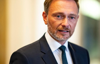 Lindner calls for the end of electricity production using gas