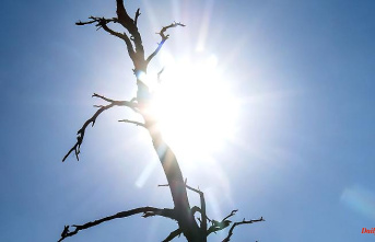 Baden-Württemberg: Heat record in the southwest: over 40 degrees in Bad Mergentheim