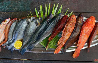 "Better Fish Than Botox": How Healthy Is a Pescetarian Diet?