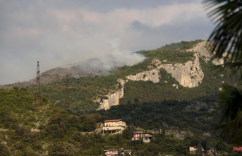Flames in Italian seaside resort: Tourists flee forest fire into the sea
