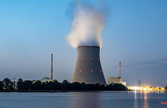 New fuel rods needed: EU partners are calling for Germany to abandon nuclear power