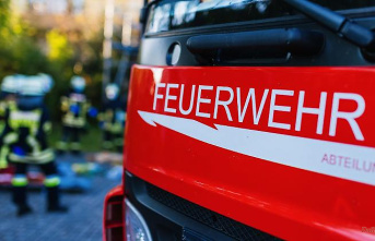 Saxony-Anhalt: fire in a family home: the police suspect a lightning strike