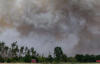 Saxony: After a forest fire in the Czech Republic, smoke moves through the Elbe valley