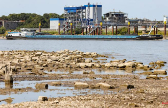 High demand at low tide: inland waterways can only be transported half loaded