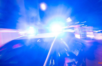 North Rhine-Westphalia: Drunk woman rams police car