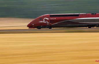 Thousands of passengers stranded: Thalys collides with animals and causes traffic chaos