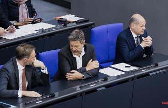 Traffic light trembles for ataman majority: Lindner's wedding costs one vote