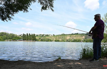 Saxony-Anhalt: heat in the waters: anglers fear "total failure"