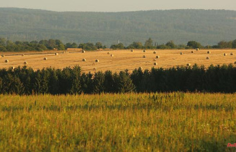 Thuringia: Thuringia's fields are mainly grain