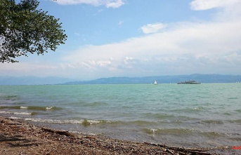 Baden-Württemberg: Diatoms provide a green shimmer on Lake Constance