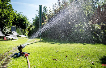 Consumption "objectively dispensable": Berlin's Greens want to ban lawn sprinkling in water shortages