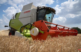 Russia exports more wheat: "The world needs the stolen grain"