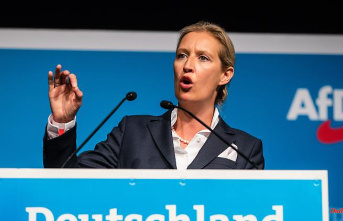 "Sufficient evidence": constitutional protectors monitor the AfD in the southwest