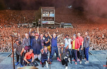 Baden-Württemberg: Start of "The Festival": Seeed rocks the stage