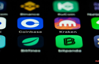 Fintech Rubarb is insolvent: Scholz' nephews go bankrupt with crypto app